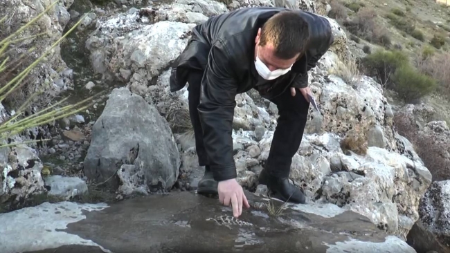 Kaya parçasında 70 milyon yıllık fosil tespit edildi